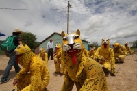 Lunes 20 de junio. (20 fotos) Los pobladores de la Colonia Emiliano Zapata de Chiapa de Corzo inician esta mañana (lunes) con las danzas del Calalá acompañando las enramas y somes los cuales son llevados entre el sonido de los cuetes y danzantes a una cas