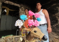 Lunes 20 de junio (40 fotos) Los participantes de la danza del Calalá visten tocados color azul y adornan sus cabezas con paliacates para identificarse con la usanza de los pueblos originales de la depresión central de Chiapas. Esta festividad tiene su pu