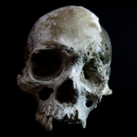 Jueves 23 de septiembre. Una calavera humana de más de 7.000 años de antigüedad fue encontrada en las cuevas de la comunidad de Ocosocuautla y posteriormente entregada a los investigadores del Museo de Antropología del INAH en Chiapas. Estos restos son es