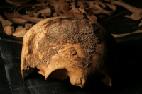 Viernes 18 de febrero. El Profesor Javier  Montes de Paz estudia y clasifica los vestigios antropológicos de varios niños momificados de unos 1,000 años de antigüedad encontrados en una cueva aproximadamente a 70 kilómetros de Tuxtla Gutiérrez, Chiapas. E