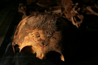 Viernes 18 de febrero. El Profesor Javier  Montes de Paz estudia y clasifica los vestigios antropológicos de varios niños momificados de unos 1,000 años de antigüedad encontrados en una cueva aproximadamente a 70 kilómetros de Tuxtla Gutiérrez, Chiapas. E