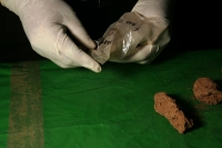 Viernes 18 de febrero. El Profesor Javier  Montes de Paz estudia y clasifica los vestigios antropológicos de varios niños momificados de unos 1,000 años de antigüedad encontrados en una cueva aproximadamente a 70 kilómetros de Tuxtla Gutiérrez, Chiapas. E