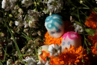 Martes 28 de octubre del 2014. Tuxtla Gutiérrez. Las flores de Cempasuchil y Nubes acompañan las Calaveritas de Azúcar en los mercados públicos de la capital del estado de Chiapas en los días previos a los festejos de los Santos Difuntos.