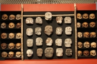 Martes 29 de octubre del 2013. Tuxtla Gutiérrez. Tzompantlis y Cuevas: Refugio de los Muertos es la exposición que  presenta el INAH en la sala de exposiciones temporales del Museo Regional de Chiapas.