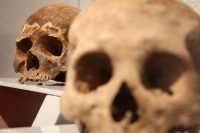 Martes 29 de octubre del 2013. Tuxtla Gutiérrez. Tzompantlis y Cuevas: Refugio de los Muertos es la exposición que  presenta el INAH en la sala de exposiciones temporales del Museo Regional de Chiapas.