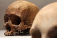 Martes 29 de octubre del 2013. Tuxtla Gutiérrez. Tzompantlis y Cuevas: Refugio de los Muertos es la exposición que  presenta el INAH en la sala de exposiciones temporales del Museo Regional de Chiapas.