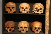Martes 29 de octubre del 2013. Tuxtla Gutiérrez. Tzompantlis y Cuevas: Refugio de los Muertos es la exposición que presenta el INAH en la sala de exposiciones temporales del Museo Regional de Chiapas. Martes 29 de octubre del 2013. Tuxtla Gutiérrez. Tzompantlis y Cuevas: Refugio de los Muertos es la exposición que presenta el INAH en la sala de exposiciones temporales del Museo Regional de Chiapas.