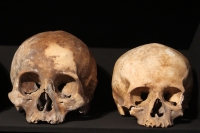 Martes 29 de octubre del 2013. Tuxtla Gutiérrez. Tzompantlis y Cuevas: Refugio de los Muertos es la exposición que  presenta el INAH en la sala de exposiciones temporales del Museo Regional de Chiapas.