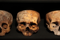 Martes 29 de octubre del 2013. Tuxtla Gutiérrez. Tzompantlis y Cuevas: Refugio de los Muertos es la exposición que  presenta el INAH en la sala de exposiciones temporales del Museo Regional de Chiapas.