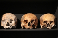 Martes 29 de octubre del 2013. Tuxtla Gutiérrez. Tzompantlis y Cuevas: Refugio de los Muertos es la exposición que presenta el INAH en la sala de exposiciones temporales del Museo Regional de Chiapas. Martes 29 de octubre del 2013. Tuxtla Gutiérrez. Tzompantlis y Cuevas: Refugio de los Muertos es la exposición que presenta el INAH en la sala de exposiciones temporales del Museo Regional de Chiapas.