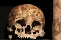 Martes 29 de octubre del 2013. Tuxtla Gutiérrez. Tzompantlis y Cuevas: Refugio de los Muertos es la exposición que  presenta el INAH en la sala de exposiciones temporales del Museo Regional de Chiapas.