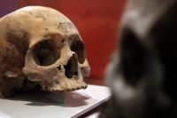 Martes 29 de octubre del 2013. Tuxtla Gutiérrez. Tzompantlis y Cuevas: Refugio de los Muertos es la exposición que  presenta el INAH en la sala de exposiciones temporales del Museo Regional de Chiapas.