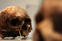 Martes 29 de octubre del 2013. Tuxtla Gutiérrez. Tzompantlis y Cuevas: Refugio de los Muertos es la exposición que presenta el INAH en la sala de exposiciones temporales del Museo Regional de Chiapas. Martes 29 de octubre del 2013. Tuxtla Gutiérrez. Tzompantlis y Cuevas: Refugio de los Muertos es la exposición que presenta el INAH en la sala de exposiciones temporales del Museo Regional de Chiapas.