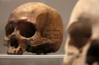 Martes 29 de octubre del 2013. Tuxtla Gutiérrez. Tzompantlis y Cuevas: Refugio de los Muertos es la exposición que  presenta el INAH en la sala de exposiciones temporales del Museo Regional de Chiapas.