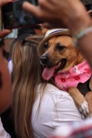 20230312. Tuxtla. Durante la marcha a favor de los animales.
