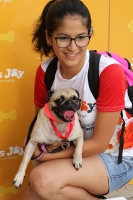 Sábado 5 de agosto del 2017. Tuxtla Gutiérrez. Esta tarde se lleva a cabo la carrera de mascotas Canrrera 2017 que asociaciones civiles organizan en la Avenida Central de esta ciudad.
