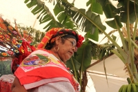 Lunes 30 de enero del 2017. Tuxtla Gutiérrez. La Virgen de Candelaria. La comunidad Zoque se reúne desde la madrugada para iniciar el recorrido de las tres VÃrgenes de Copoya las cuales recorren bailando y gritando vivas acompañados de los sones tradicion Lunes 30 de enero del 2017. Tuxtla Gutiérrez. La Virgen de Candelaria. La comunidad Zoque se reúne desde la madrugada para iniciar el recorrido de las tres VÃrgenes de Copoya las cuales recorren bailando y gritando vivas acompañados de los sones tradicion