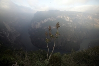 30 años caminando en el Cañón  René Araujo.  Martes 7 de diciembre, Cañón del Sumidero. Don José Alfredo Muñoz camina todos los días por las veredas que se internan entre los miradores del Cañón del Sumidero, recordando entre los paisajes que observan la 