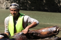 Miércoles 2 de octubre del 2013. Chiapa de Corzo. Las labores de las brigadas de limpieza del Cañón del Sumidero continúan recogiendo tripio, pet y restos de madera que los municipios aledaños depositan en los afluentes del Grijalva. Miércoles 2 de octubre del 2013. Chiapa de Corzo. Las labores de las brigadas de limpieza del Cañón del Sumidero continúan recogiendo tripio, pet y restos de madera que los municipios aledaños depositan en los afluentes del Grijalva.