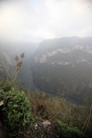 30 años caminando en el Cañón  René Araujo.  Martes 7 de diciembre, Cañón del Sumidero. Don José Alfredo Muñoz camina todos los días por las veredas que se internan entre los miradores del Cañón del Sumidero, recordando entre los paisajes que observan la 