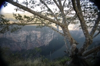 30 años caminando en el Cañón  René Araujo.  Martes 7 de diciembre, Cañón del Sumidero. Don José Alfredo Muñoz camina todos los días por las veredas que se internan entre los miradores del Cañón del Sumidero, recordando entre los paisajes que observan la 