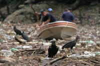 Trece turistas sufrieron golpes y lesiones cuando una lancha se accidentó en la cercanía de Chiapa de Corzo después de realizar un recorrido en el Cañón del Sumidero. Lo sobrevivientes relataron que el lanchero perdió el control y se impacto en un tronco 