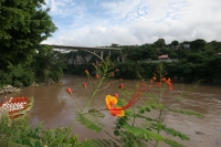 especial Cañón del Sumidero