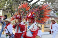 Sábado 25 de febrero del 2017. Tuxtla Gutiérrez. Los danzantes de la comunidad de la etnia Zoque recorren las calles de la capital de Chiapas donde bailan la Danza de la Pluma de la Guacamaya o Carnaval
