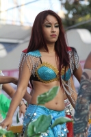 Domingo 4 de marzo del 2012. Desfile del Carnaval Tuxtleco.