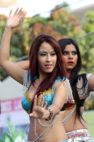 Domingo 4 de marzo del 2012. Desfile del Carnaval Tuxtleco.