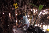 Jueves 8 de diciembre. Inauguran Las Jordanas Ciudadanas.