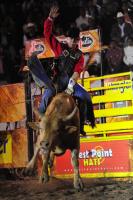 Los vaqueros del espectáculo de rodeo Cuernos Chuecos se juegan la vida montando toros de más de 600 kilos durante la función de este sábado en la plaza de toros de San roque en esta ciudad.