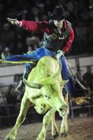 Los vaqueros del espectáculo de rodeo Cuernos Chuecos se juegan la vida montando toros de más de 600 kilos durante la función de este sábado en la plaza de toros de San roque en esta ciudad.