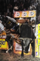 Los vaqueros del espectáculo de rodeo Cuernos Chuecos se juegan la vida montando toros de más de 600 kilos durante la función de este sábado en la plaza de toros de San roque en esta ciudad.