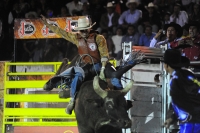 Los vaqueros del espectáculo de rodeo Cuernos Chuecos se juegan la vida montando toros de más de 600 kilos durante la función de este sábado en la plaza de toros de San roque en esta ciudad.
