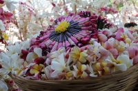 Viernes 3 de abril del 2015. Chiapa de Corzo. Viacrucis. Los Chamales y Ramilletes son als ofrendas elaboradas con flor de mayo que se elaboran en las fiestas patronales de esta comunidad de la ribera del Grijalva.