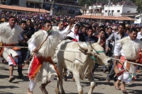 Miércoles 10 de febrero del 2016. San Juan Chamula. La ceremonia del Kinta Jimultik o Fuego Nuevo es la celebración que los indígenas tsotsiles realizan al inicio de la cuaresma donde los rituales costumbristas asombran a los visitantes de esta localidad 