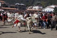 Miércoles 10 de febrero del 2016. San Juan Chamula. La ceremonia del Kinta Jimultik o Fuego Nuevo es la celebración que los indígenas tsotsiles realizan al inicio de la cuaresma donde los rituales costumbristas asombran a los visitantes de esta localidad 