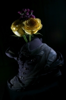 Mis zapatos viejos