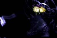 Flores y luces
