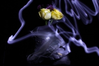 Flores y luces