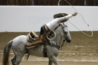 Lunes 17 de octubre del 2016. Tuxtla Gutiérrez. Antes de la inauguración del Foro Chiapas continúan las prácticas de los charros que participaran en el Torneo Nacional de Charrería mientras los trabajadores realizan las últimas soldaduras a la estructura 