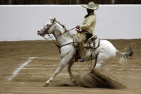 Lunes 17 de octubre del 2016. Tuxtla Gutiérrez. Antes de la inauguración del Foro Chiapas continúan las prácticas de los charros que participaran en el Torneo Nacional de Charrería mientras los trabajadores realizan las últimas soldaduras a la estructura 