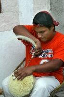 Miércoles 12 de enero. Los núcleos familiares de Chiapa de Corzo se organizan para realizar los preparativos de las fiestas patronales de San Sebastián realizando actividades festivas mientras elaboran las enramas, los vestidos y trajes que se usaran dura
