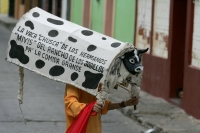 Miércoles 12 de enero. Los núcleos familiares de Chiapa de Corzo se organizan para realizar los preparativos de las fiestas patronales de San Sebastián realizando actividades festivas mientras elaboran las enramas, los vestidos y trajes que se usaran dura