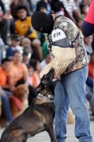Domingo 28 de septiembre del 2014. San Cristóbal de las Casas. El conjunto de organizaciones civiles, de animales y deportistas se juntaron este fin de semana en el SEDEM para realizar el Perrotón 2014.