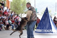 Domingo 28 de septiembre del 2014. San Cristóbal de las Casas. El conjunto de organizaciones civiles, de animales y deportistas se juntaron este fin de semana en el SEDEM para realizar el Perrotón 2014. Domingo 28 de septiembre del 2014. San Cristóbal de las Casas. El conjunto de organizaciones civiles, de animales y deportistas se juntaron este fin de semana en el SEDEM para realizar el Perrotón 2014.
