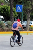 Jueves 17 de noviembre del 2016. Tuxtla Gutiérrez. Dándole una última mano a la nueva ciclo vía en el bulevar Belisario Domínguez