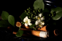 Lunes 30 de mayo del 2016. Tuxtla Gutiérrez. Cada 31 de mayo la Organización Mundial de la Salud conmemora el Día Internacional sin Tabaco