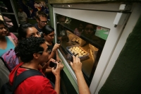 En este momento eclosionan más de 40 crías de cocodrilos en las instalaciones del ZOOMAT de la ciudad de Tuxtla Gutiérrez, Chiapas. Los especialistas atienden las nidadas de manera especial cuidando temperatura y humedad de ambiente para propiciar que el 